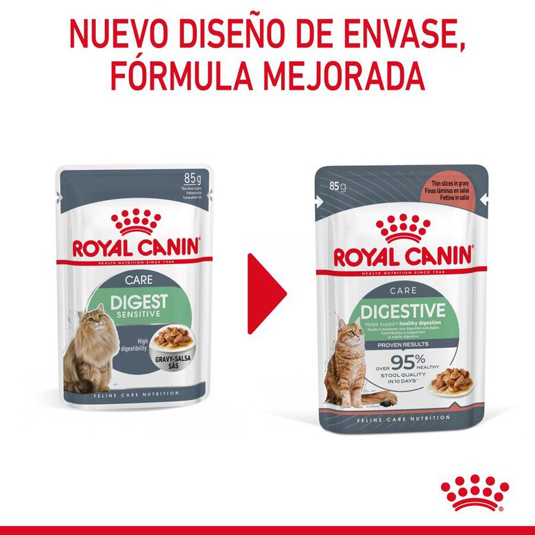 Royal Canin Digestive Sensitive saqueta para gatos, , large image number null